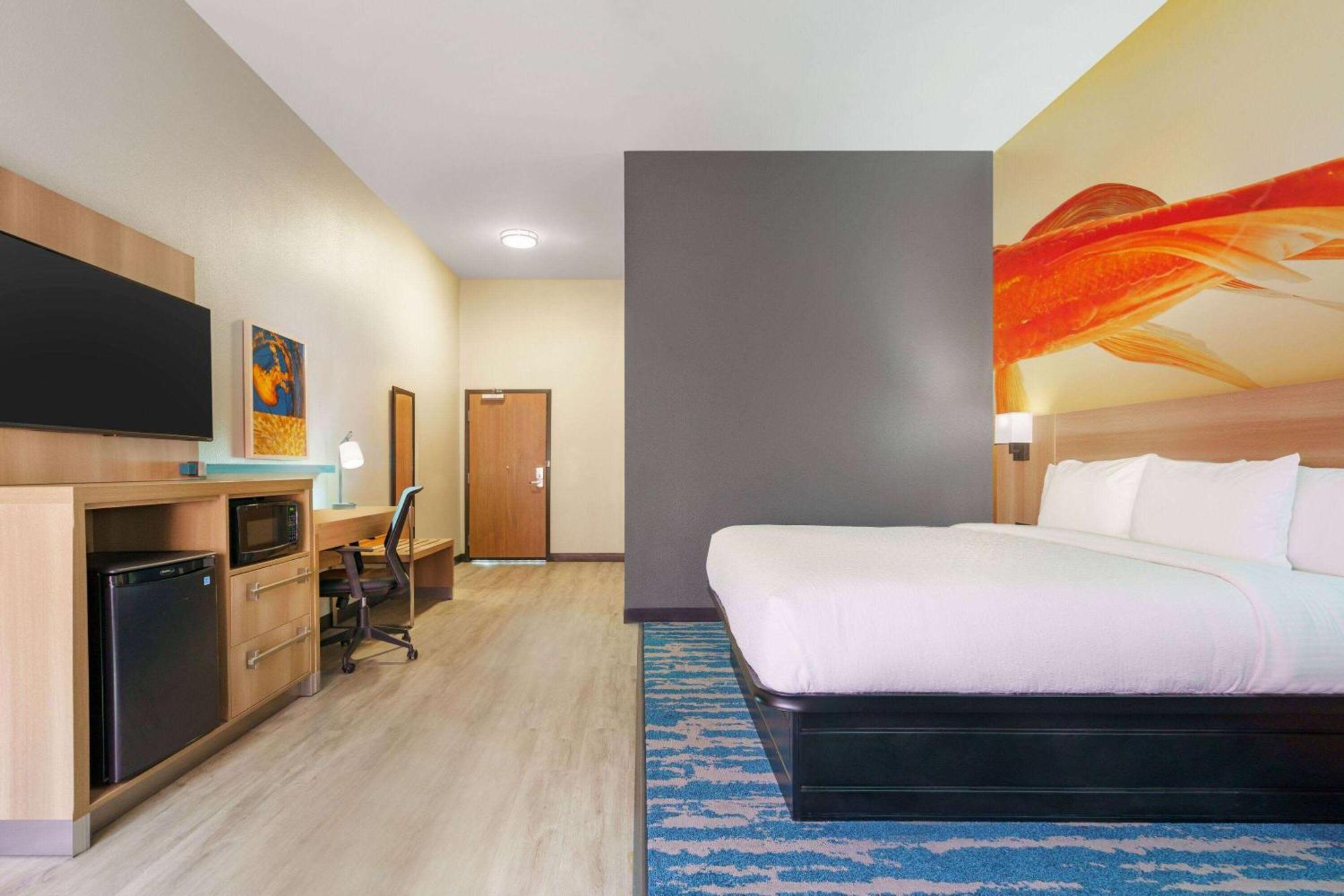 La Quinta Inn & Suites By Wyndham San Antonio Seaworld Lafb Eksteriør billede